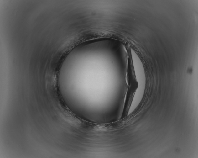 X0000090870613200708241921