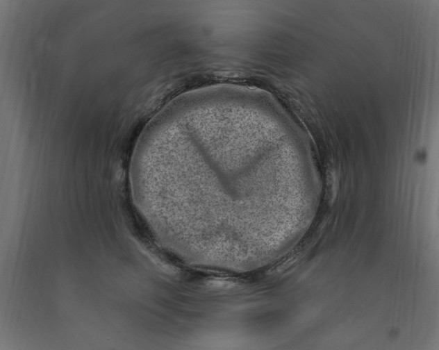 X0000090870614200708241921