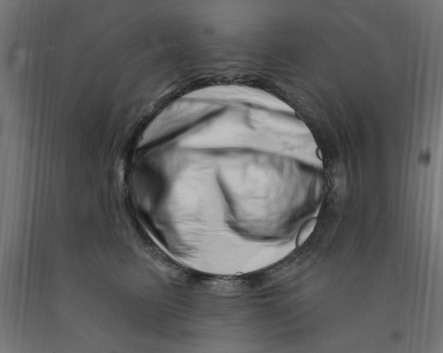 X0000090870615200708241921