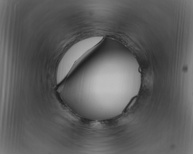 X0000090870616200708241921