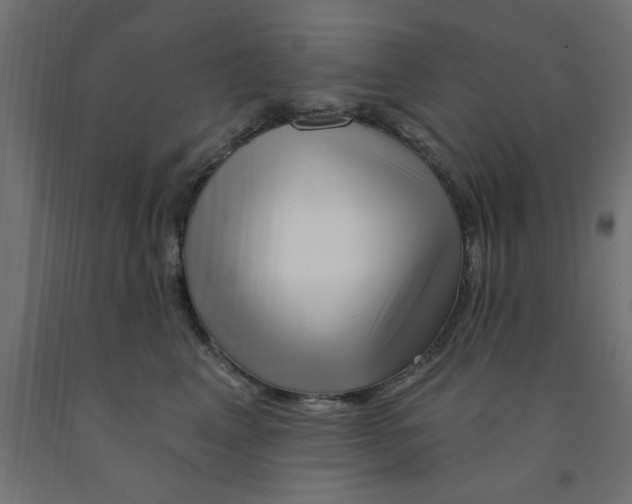 X0000090870617200708241921