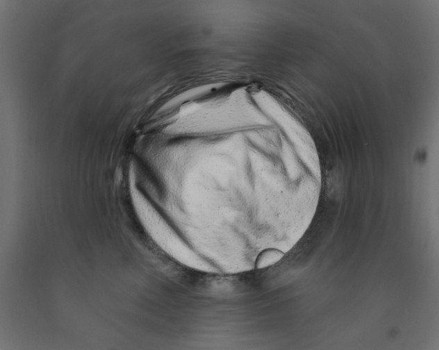 X0000090870618200708241921