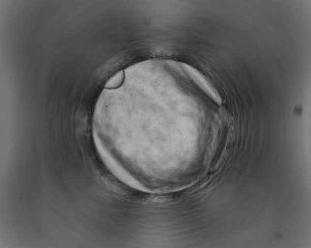 X0000090870619200708241921