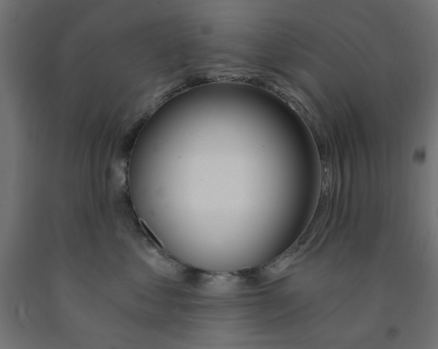 X0000090870621200708241921