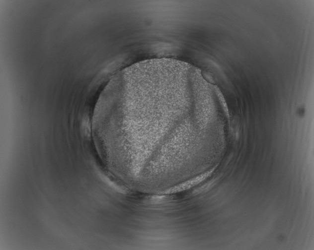 X0000090870622200708241921