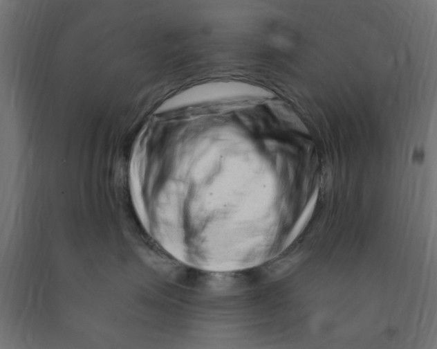 X0000090870623200708241921