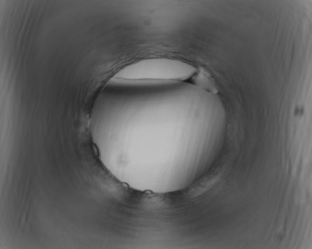 X0000090870624200708241921