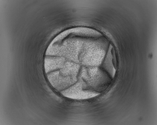 X0000090870625200708241920