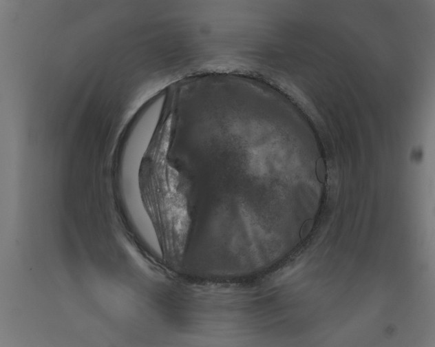 X0000090870626200708241920