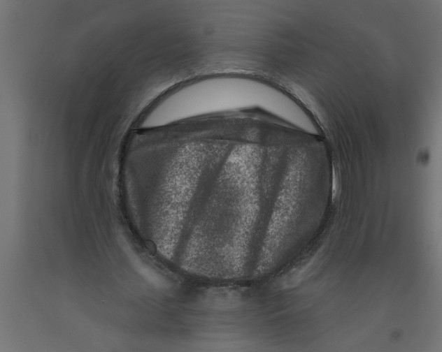 X0000090870627200708241920