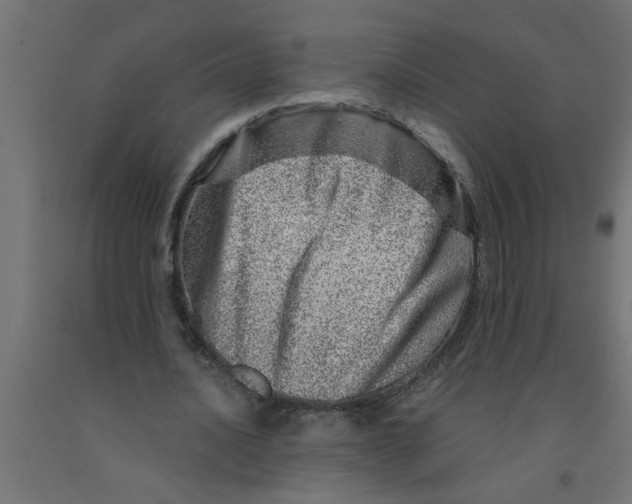 X0000090870628200708241920