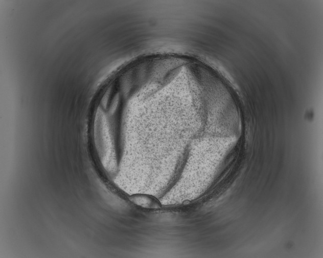 X0000090870629200708241920