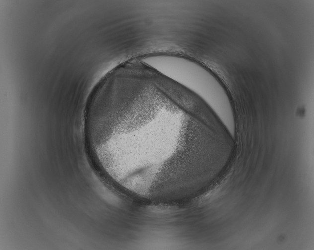 X0000090870630200708241920