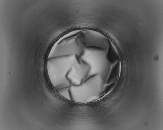 X0000090870631200708241920