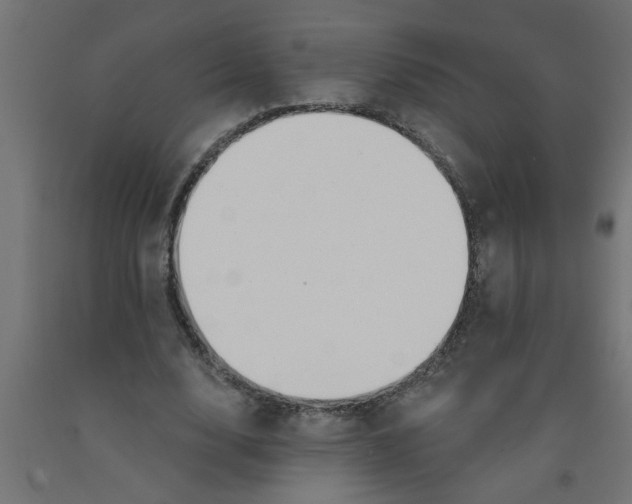 X0000090870632200708241921