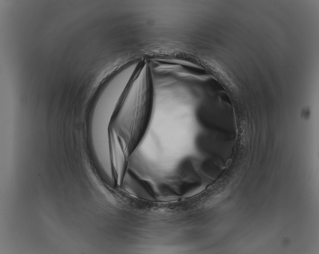 X0000090870634200708241921