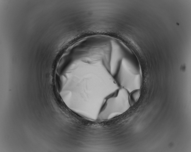 X0000090870635200708241921