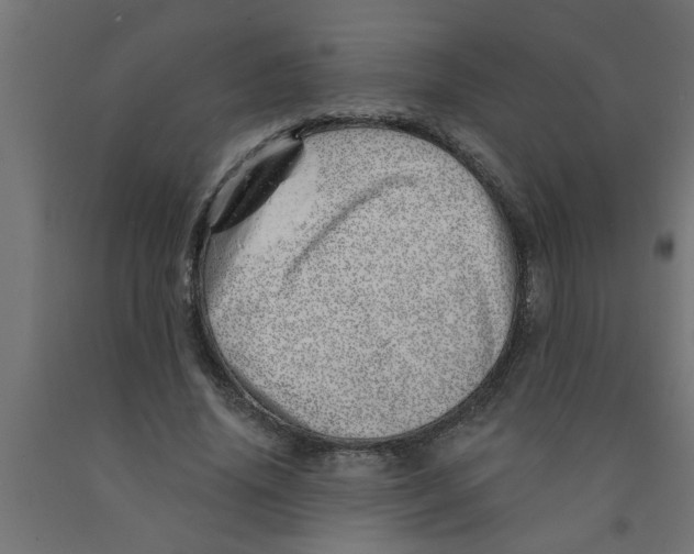 X0000090870636200708241921