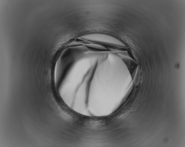 X0000090870638200708241921