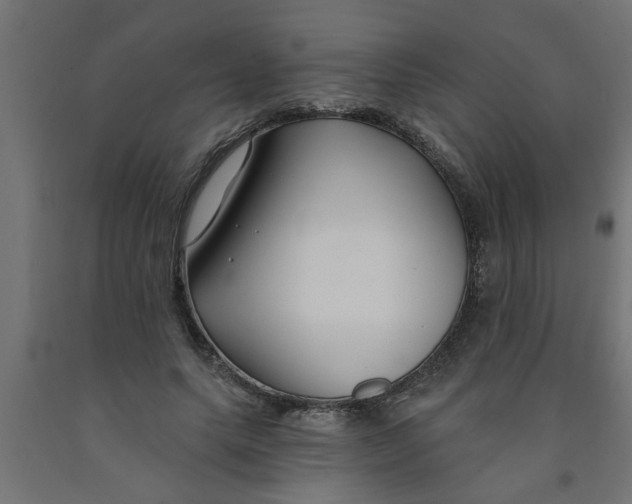 X0000090870639200708241921