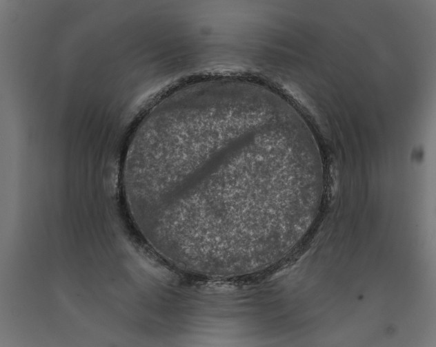 X0000090870640200708241921