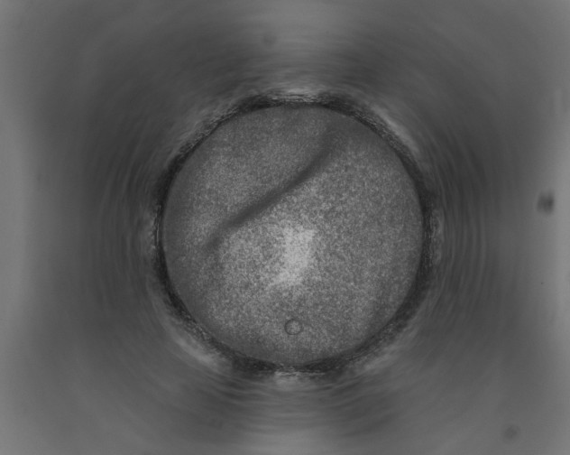 X0000090870641200708241921