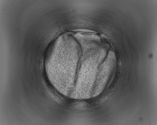 X0000090870642200708241921