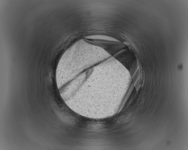 X0000090870643200708241921