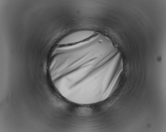 X0000090870644200708241921