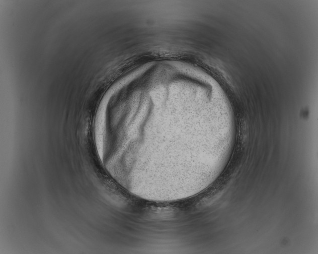 X0000090870645200708241921