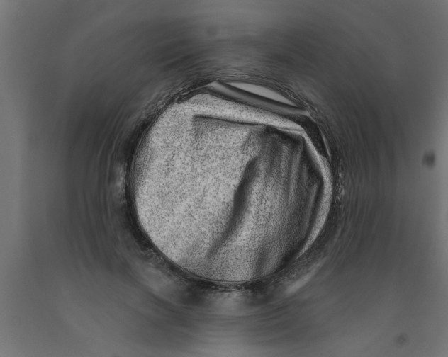 X0000090870646200708241921