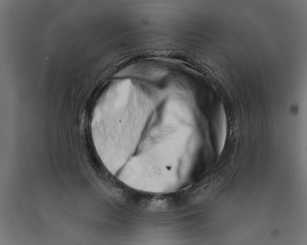 X0000090870647200708241921