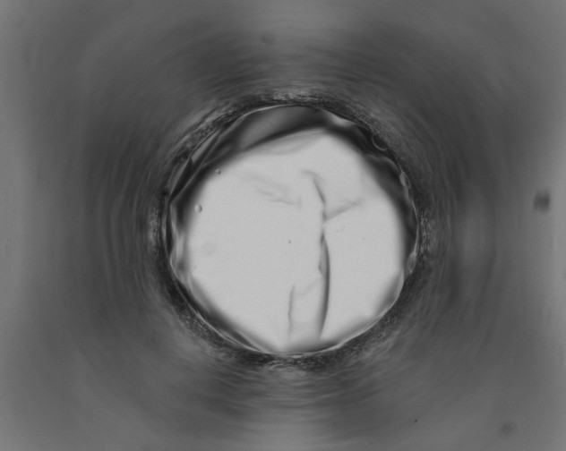 X0000090870648200708241921