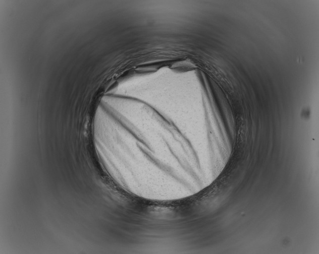 X0000090870649200708241921