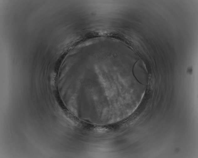 X0000090870650200708241921