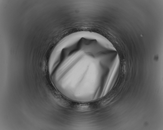 X0000090870651200708241921