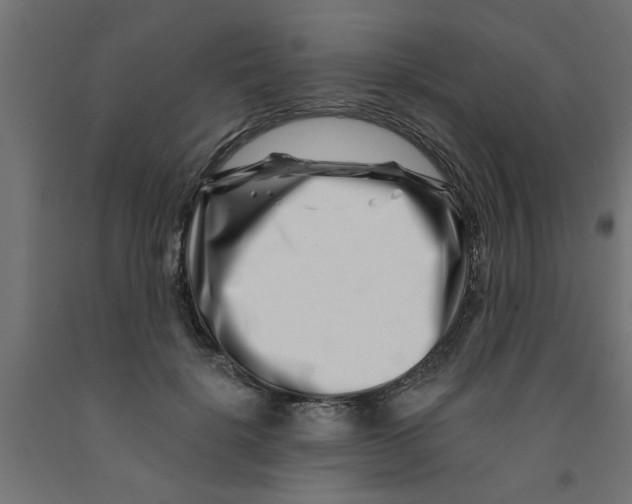 X0000090870652200708241921