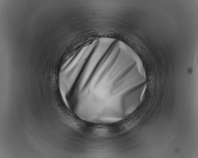 X0000090870653200708241921