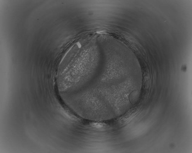 X0000090870654200708241921