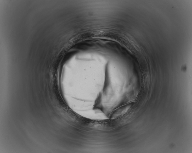 X0000090870655200708241921