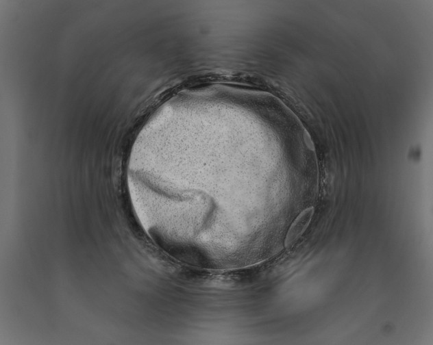 X0000090870656200708241921