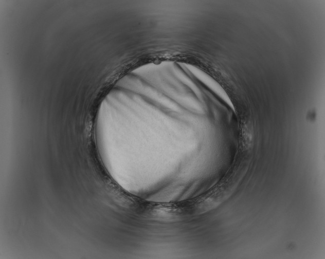 X0000090870657200708241921