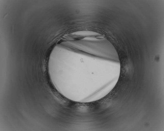 X0000090870658200708241921