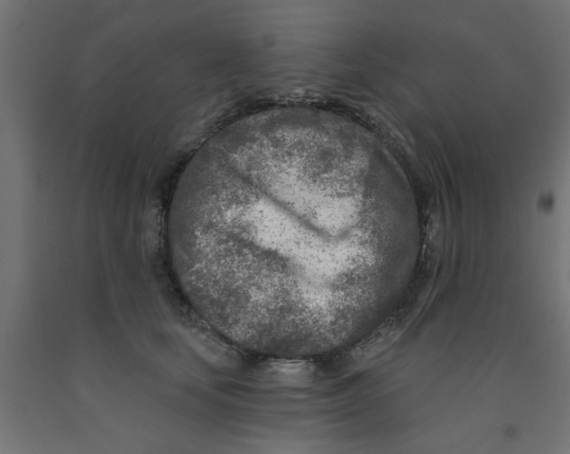 X0000090870659200708241921