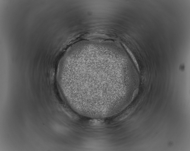 X0000090870660200708241921