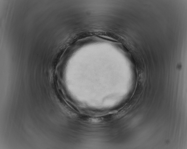 X0000090870662200708241921