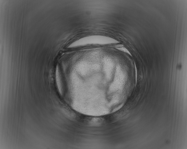 X0000090870663200708241921