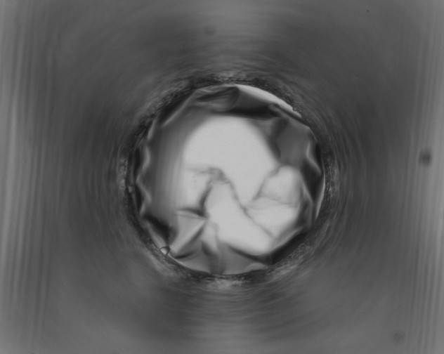 X0000090870664200708241921