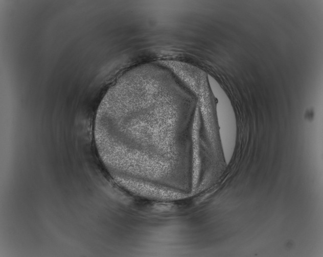 X0000090870666200708241921