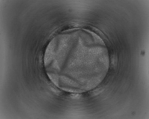 X0000090870667200708241921